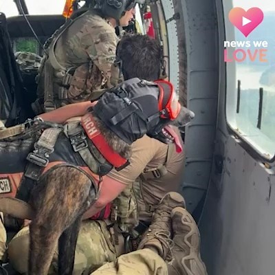 7.1M views · 220K reactions | HERO DOG  Meet K9 Callie, the first search and rescue dog in the entire U.S. Military. She is an official member of the Kentucky Air National Guard and helped search for missing people in the eastern Kentucky flooding. Thank you, Callie! https://bit.ly/3SXgQPW Some video courtesy of Kentucky Air National Guard | WLKY News | Facebook