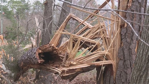 Storm damage cleanup ongoing in Gloucester