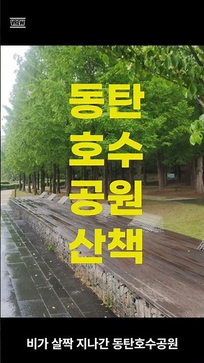 [동탄 가볼만한곳] 5월의 동탄호수공원 완벽 산책 가이드: 꽃향기와 루나쇼 일정까지!