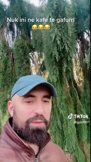 Understanding Pine and Fir Trees: Key Differences Explained