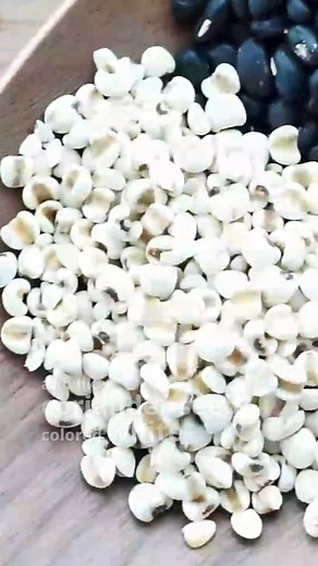 Seventh-day Adventist Church on Reels