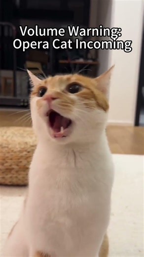 The Cat Who Swallowed an Opera Singer 🎤🙀 | Hitting the Highest Note Ever!