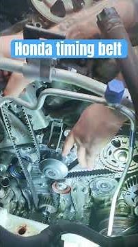 Honda timing belt install #mechanic #honda