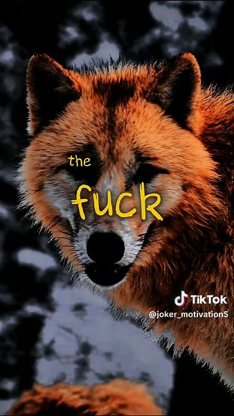 Life Lessons from Joker Quotes that Inspire Change