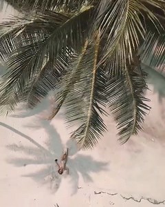 Le petit point sur la plage, ça pourrait être vous ! 😏 Inscivez-vous dès maintenant pour découvrir nos offres paradisiaques 🌴 http://vp.etr.im/t3g 📹 @saltyluxe | Voyage Privé