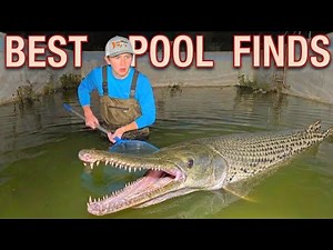 Best Abandoned Pool Finds of Bass fishing Productions!