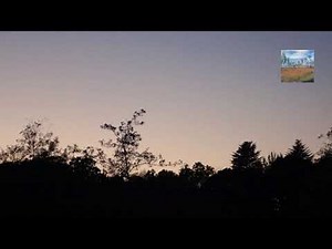 Sibelius : Scene Romantique, Op.101-5 / Izumi Tateno 1978