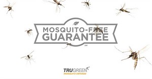 229 reactions · 54 shares | The preparation to battle mosquitoes starts now. Let the lawn experts eliminate mosquitoes from your yard this season. | TruGreen | Facebook