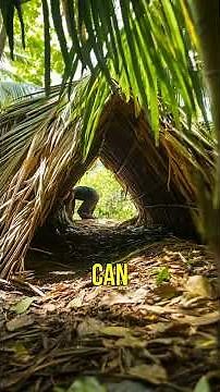 Stranded! How to Survive on a Desert Island 🌴