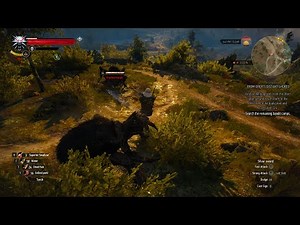 The Witcher 3, Arachnomorphs