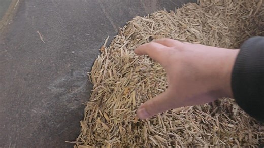 🇬🇧 🔥 Wood chip briquetting test In the video: briquetting of wood chips / wood shavings delivered directly from the customer – large fraction, only after a chipper with a big screen, without additional milling. These are not “nice laboratory sawdust”, but real, problematic industrial material – exactly what sawmills and wood processing plants generate. Material tested on our WEKTOR BT-60 briquetting machine as part of standard technology tests for customers. 👉 Tests of various materials on o