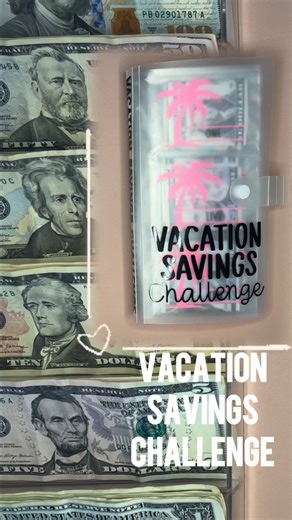 Chelsea Cheek on Instagram: "Day 25 of stuffing two more envelopes in my vacation savings challenge 🤑#travel #finance"