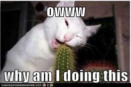 How Do I Screen Participants for My Study? 6 Steps to Screening Success - Positly