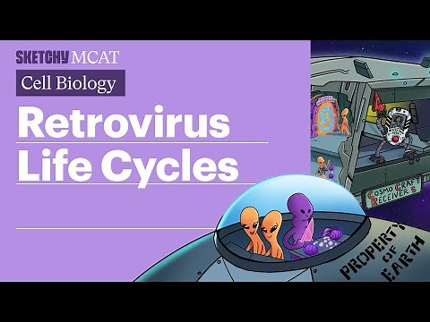 Retrovirus Life Cycles: Understanding HIV (Full Lesson) | Sketchy MCAT