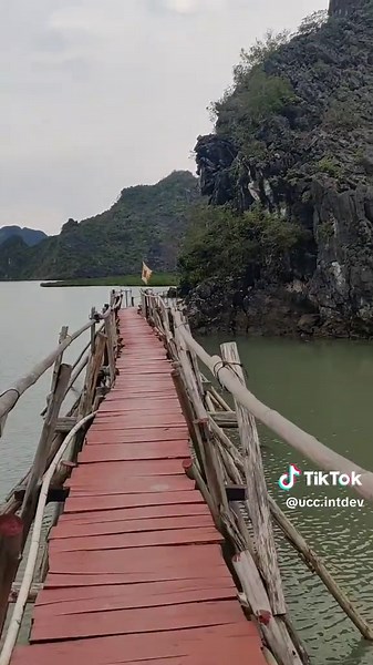 UCC IntDev trên TikTok