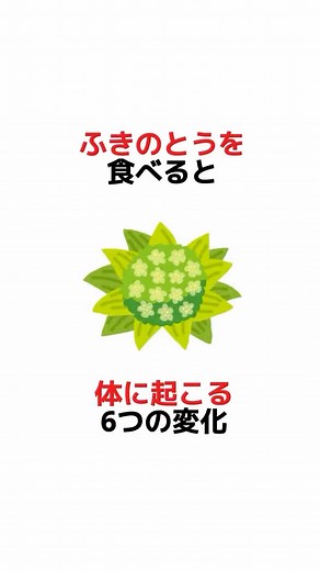 みんなが知りたい健康雑学 | 「ふきのとうって苦くてクセが強い…？」 でも実は、ふきのとうにはデトックス効果や免疫力アップ、抗酸化作用まで期待できる驚きの栄養が詰まっているんです！ 今回は、“ふきのとうを食べると体に起こる6つの変化”をご紹介します。 春の味覚を楽しみながら、健康な体を手に入れましょう！... | Instagram