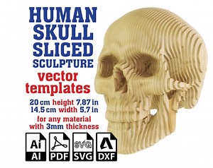 Human Skull Sculpture Sliced Vector Template, Parametric Skull Cardboard, Anatomy Sculpture, Skull Laser Cut, SVG, PDF, DXF Digital Download - Etsy