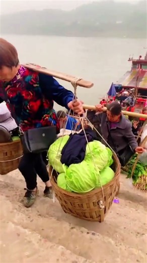 #How fulfilling is rural life #My rural life #Rural planting #Rural pastoral life#7201b