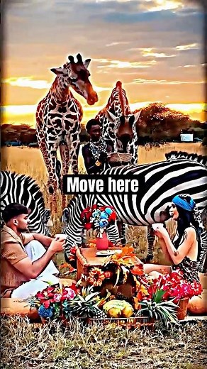 Why Do So Many People Move to Africa... and Stay?🤔