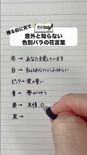 色別バラの花言葉#手書き #バラ