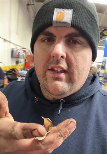 wrenchboss_nj (@wrenchboss_nj)’s video of tool box