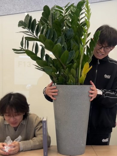 隔板猜物挑戰：朋友一起玩的趣味游戲
