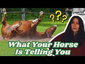 Why Horses Do That: Common Behaviors Explained