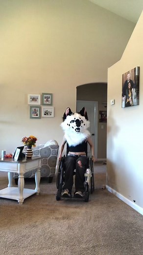 My Experience as a Part-Time Wheelchair User in the Furry Fandom