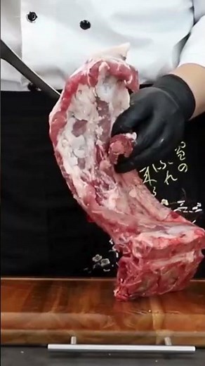 HOSHANHO 7” Fillet Knife Review | Super Sharp Japanese Boning Knife for Fish & Meat