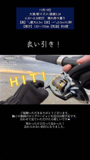 サーフvol.51予想外のオオニベ！狙い通りのヒラメ！