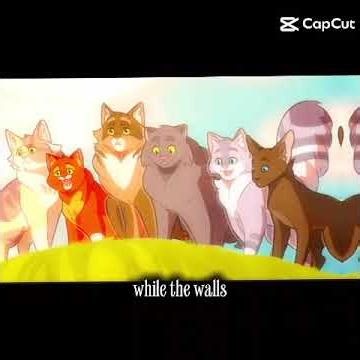The Sun Drown place #brambleclaw #squirrelflight #Tawnypelt #crowfeather #feathertail #stormfur
