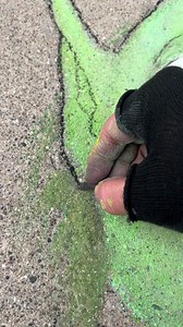 The emergence of Merle, well-dressed for a Michigan March: | David Zinn