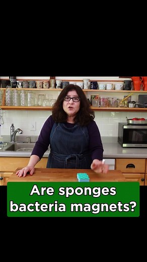 The science says it all: SQUEEZE OUT YOUR SPONGE! #kitchenhack #foodscience #howto #sponge #cleantok