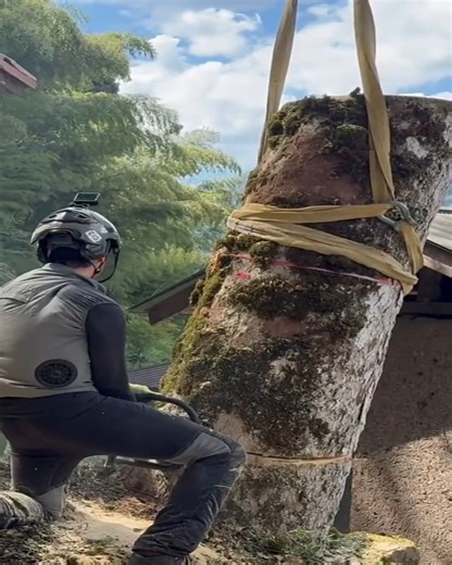 Wood cutting machine | Amazing Videos