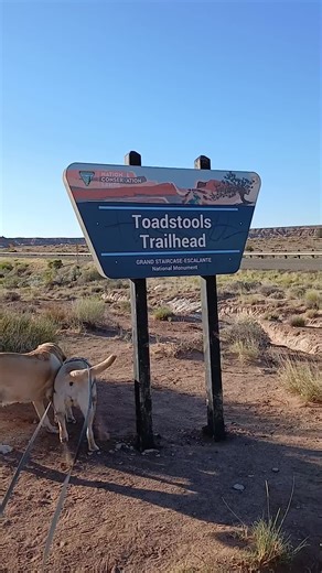 Utah Hoodoo Toadstool Trail! #explore #adventure #dogsoftiktok #utah #greatoutdoors