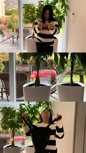 Sacha Heritage La collection dégustation tombée du paradis 😄