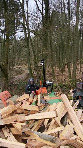 Brennholz Spalten mit Posch Splittmaster 30t