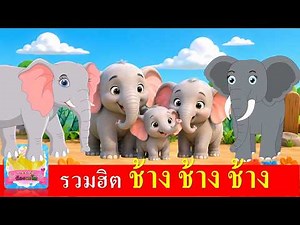 รวมฮิต ช้าง ช้าง ช้าง | เพลงช้าง 3 เวอร์ชั่น การ์ตูนน่ารัก