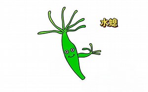 水螅（学名：Hydra vulgaris）是一类简单的水生无脊椎动物