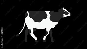 walking cow animation with transparent background