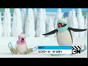 Cartoon Network Japan - Pingu in the City up next