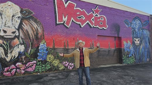 'The Daytripper' airing episode on Mexia!