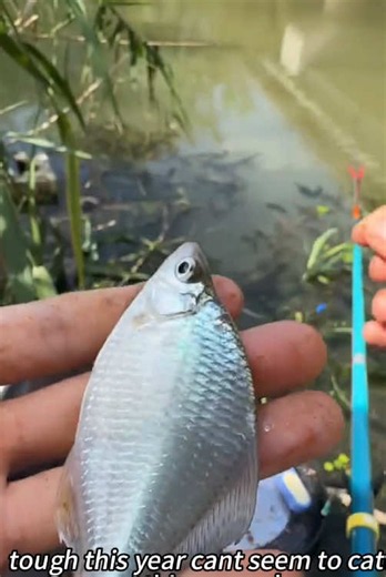 #fishing #angler #angler #fishinglife | Fishing