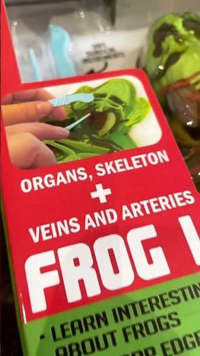 Dissect-It Synthetic Frog Dissection Kit