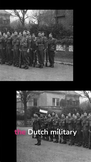 Dutch Military's Unwavering Resolve Against All Odds!
