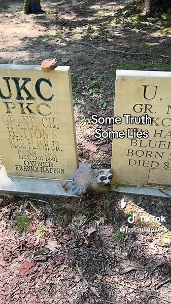 Coon Dog Cemetery: Honoring Beloved Hounds