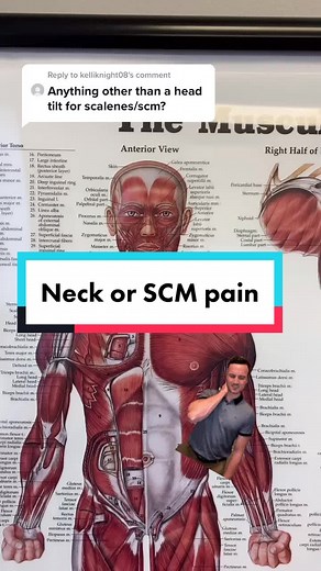 Reply to @kelliknight08 It’s a head tilt with collarbone 🤷🏻‍♂️ #chiropractor #learnintiktok #tiktokpartner #pittsburghchiropractor #neckpainrelief
