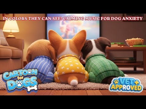 Dog TV for Home Alone Dogs 🐶 Cartoon for Dogs Vision 💤 Stress Relief, Boredom Buster & Sleep