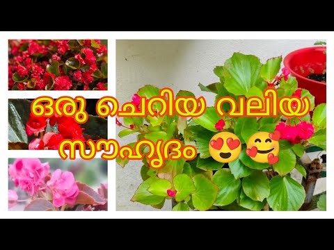 ഒരു കുഞ്ഞു friend ship 😍❤️