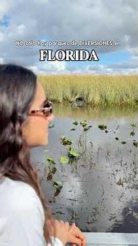 Everglades National Park en Florida 😍🐊
